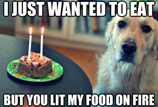 birthday-dog.jpg