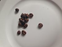 Coffee delight - a bean with symmetry