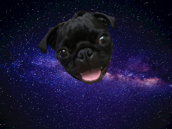 Puggy in Space!