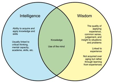 the-four-intelligences-iq-ei-si-di-and-why-we-need-wisdom-intelligence-wi-3 (1).jpg