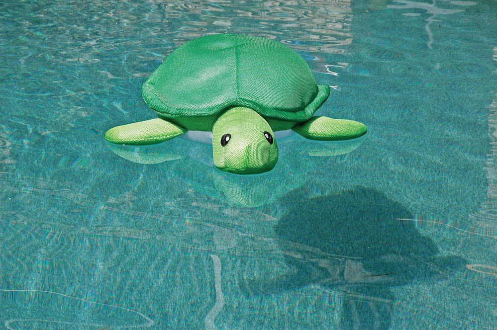 Turtle floaty.jpeg