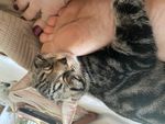 IMG_2478.jpeg