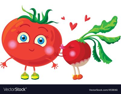 radish-in-love-with-tomato-characters-vector-4538161.jpg