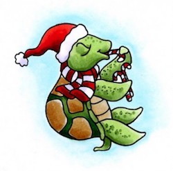 christmas sea turtle.jpg