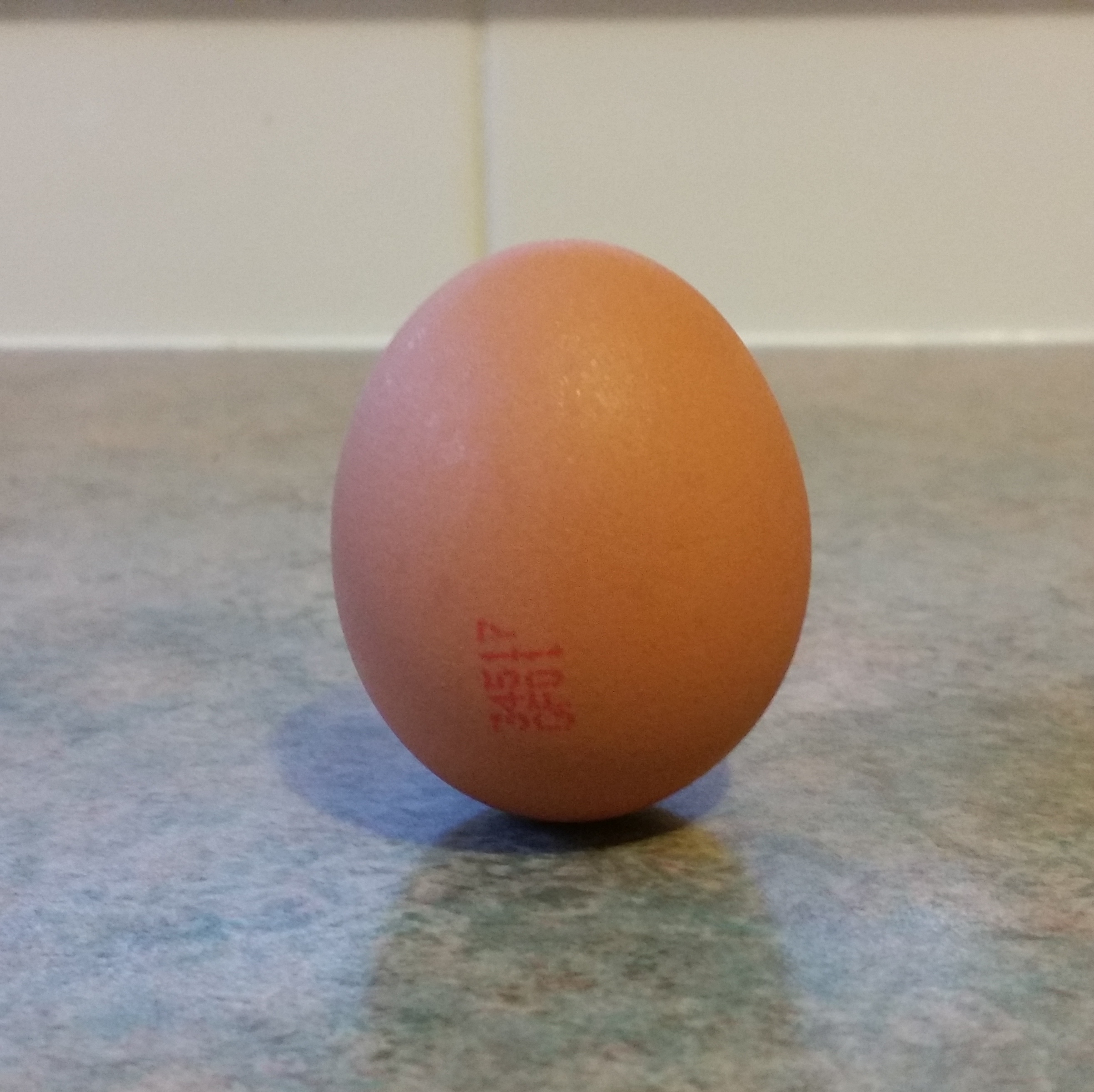 balanced egg.jpg