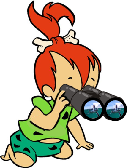 Pebbles binoculars.png