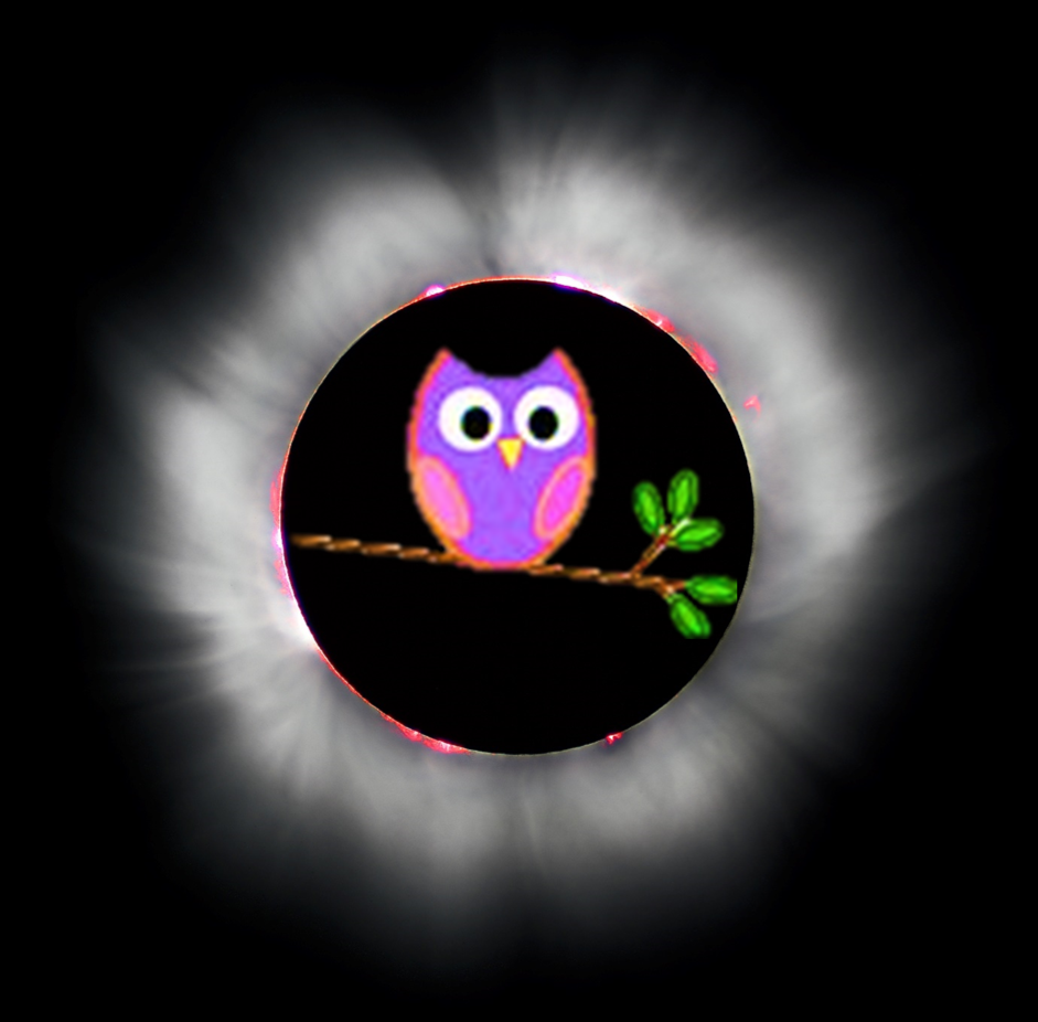 owl in the moon.png