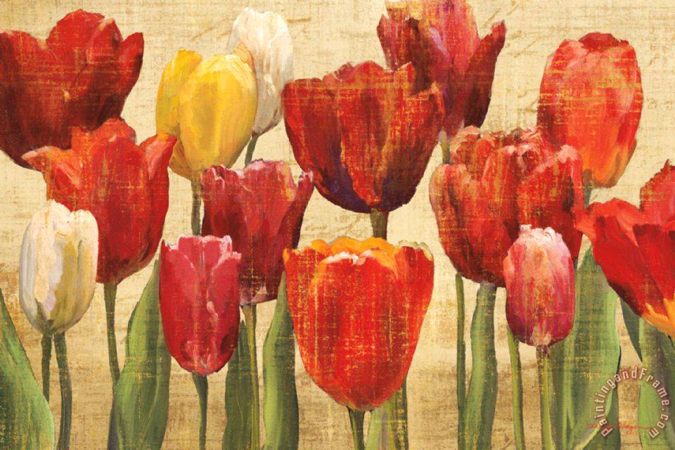 tulip_fantasy_on_cream.jpg