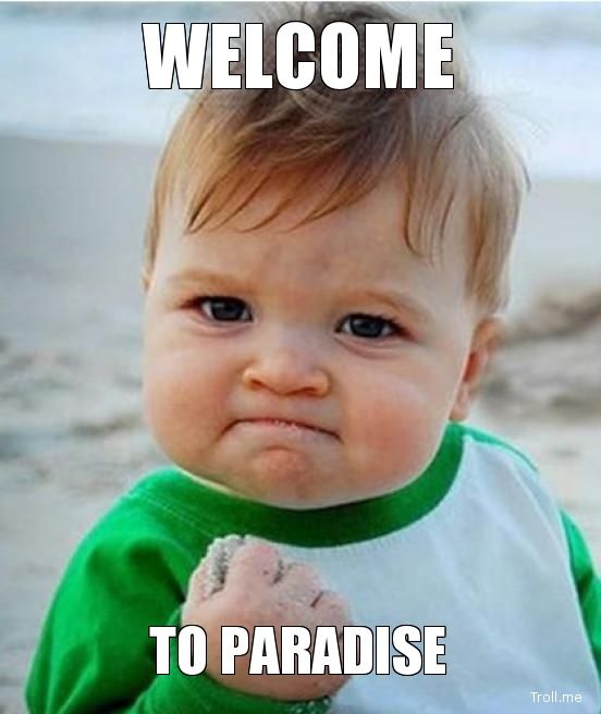 welcome-to-paradise.jpg