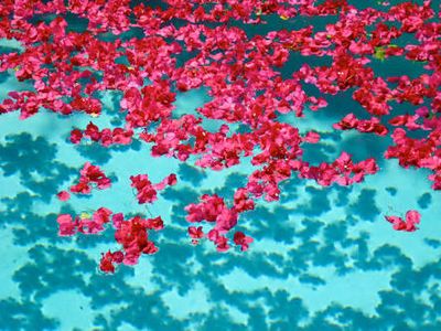 9AE5DF3D-28D2-4959-9BB4-5D0008581A25.jpeg