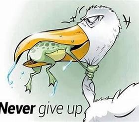 dont give up.jpg