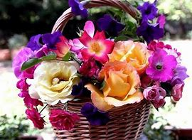 flowers.png