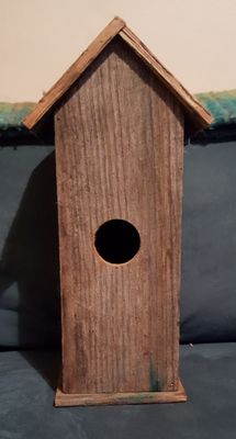 Bird House.jpg