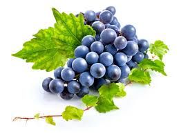 grapes.jpg