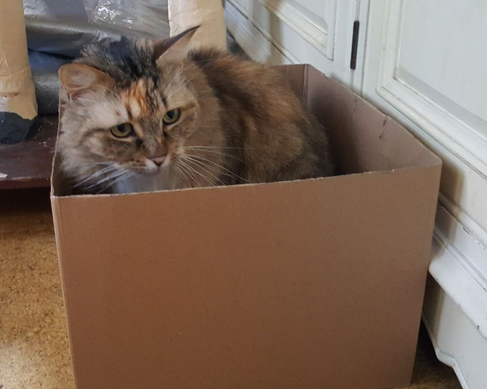 box.jpg