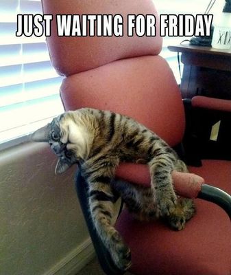 http://img.picturequotes.com/2/309/308578/just-waiting-for-friday-quote-1.jpg