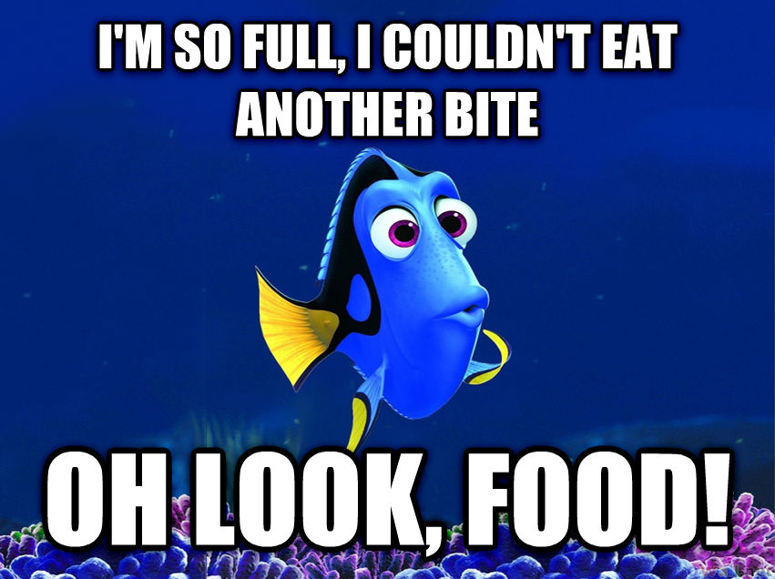 Dory food.jpg