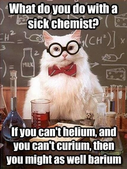 funny-cat-lab-chemist-pun-joke