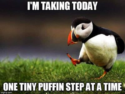 encouragement-tiny-puffin-meme.jpg