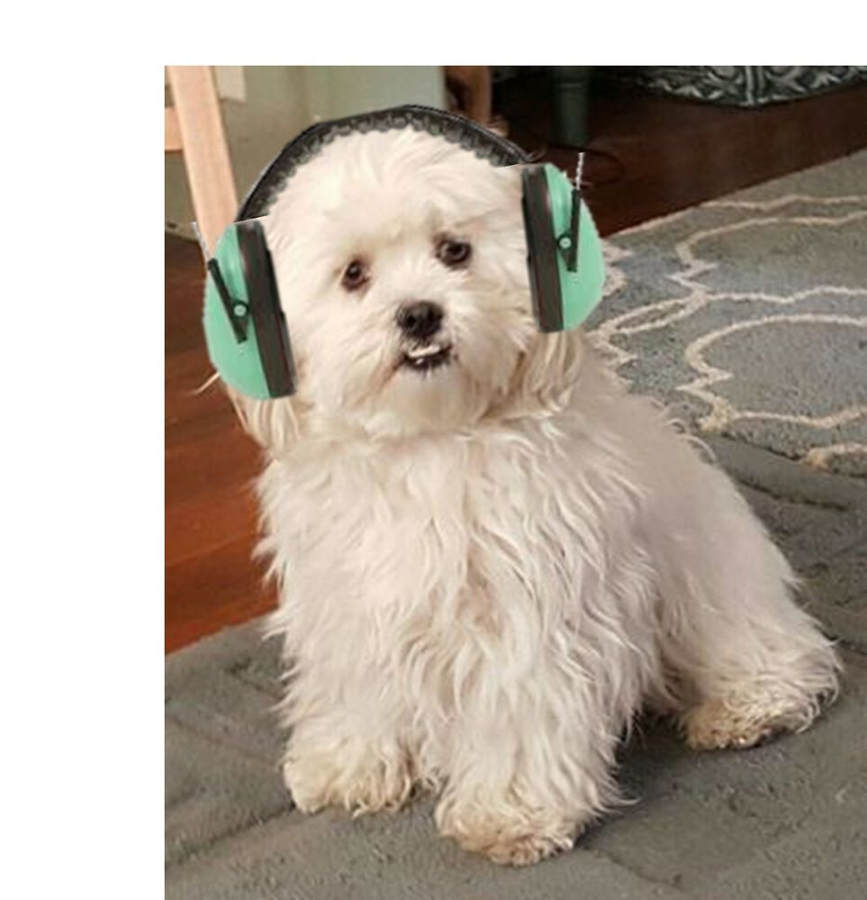 Toby Ear Muffs.jpg