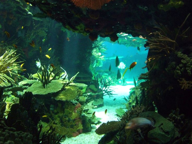 underwater cave.jpg