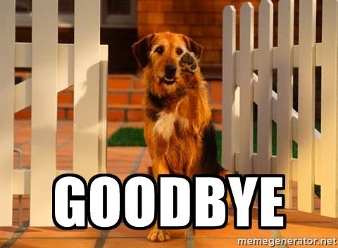 good-bye-dog-goodbye.jpg