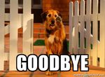 good-bye-dog-goodbye.jpg